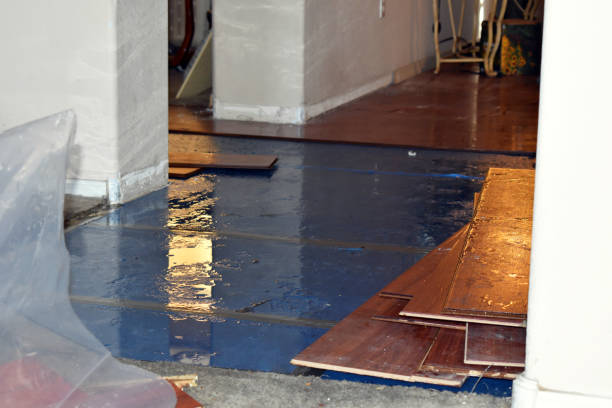 Professional Burst Pipe Cleanup technician working in Glenville, CT